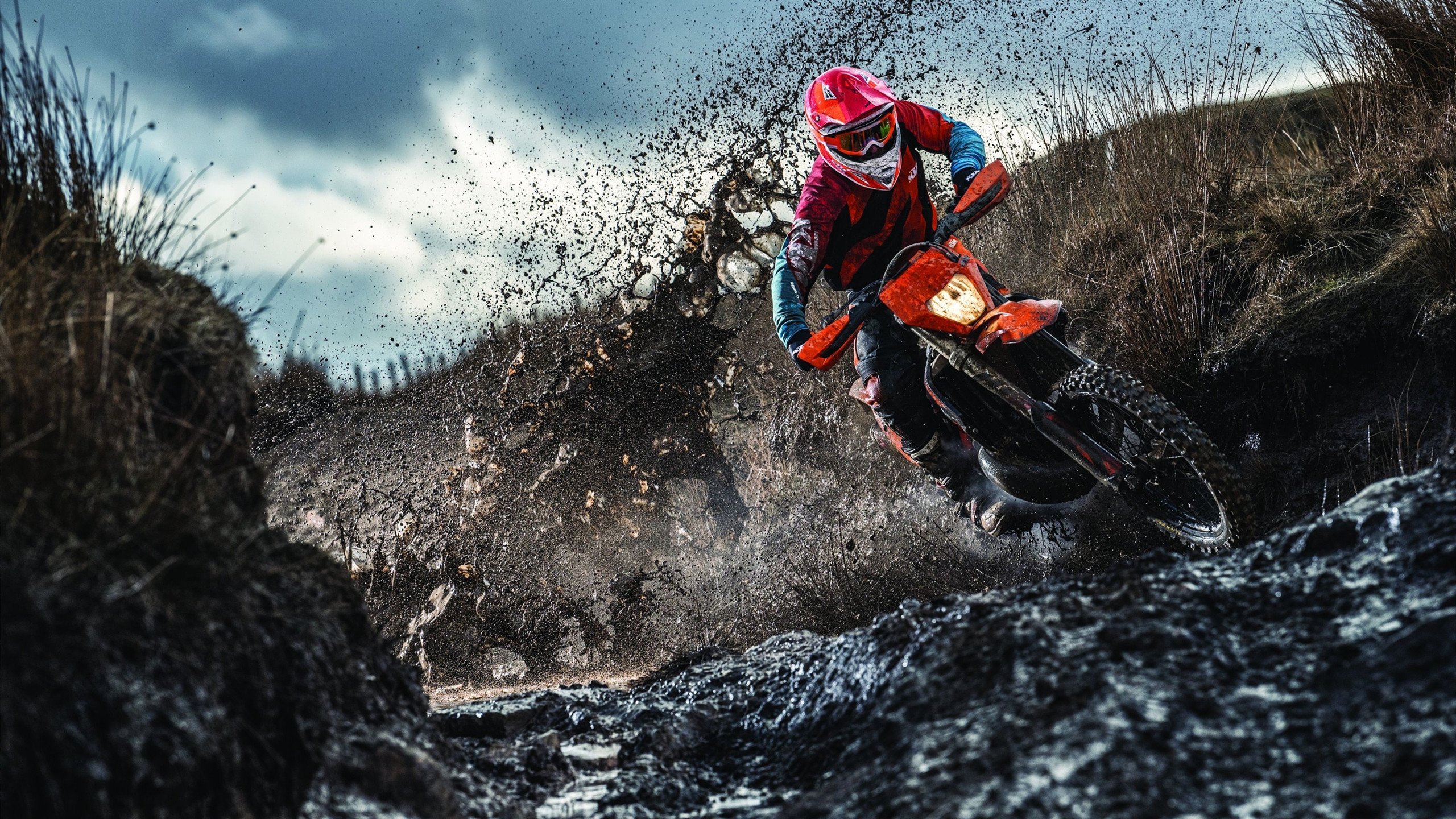 纽约风暴席卷华南,范弗利特关键一击,尼克斯强势攻克广东堡垒