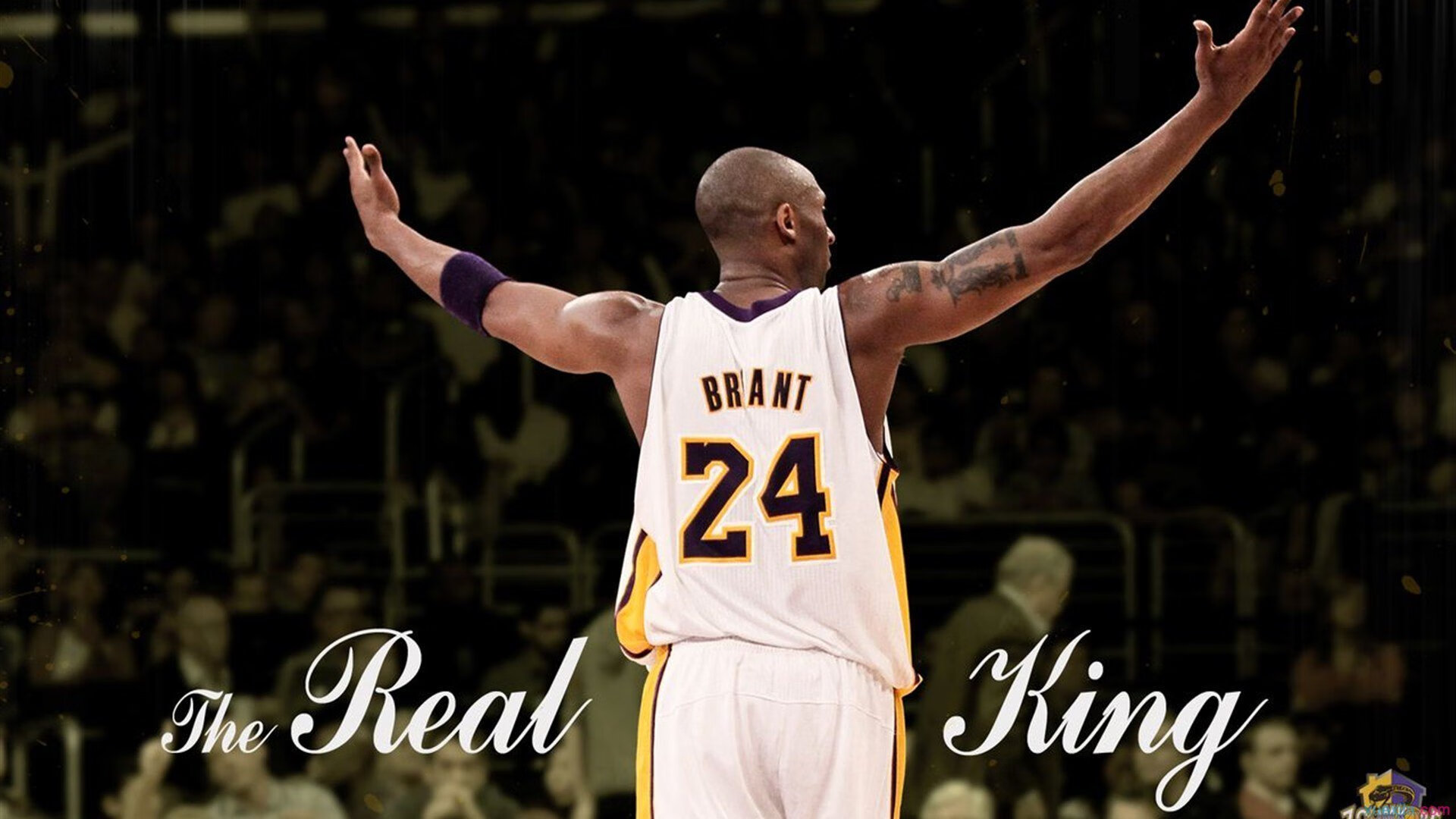 掌控者恩比德与末节风暴，浙江队如何偷走开拓者的胜利