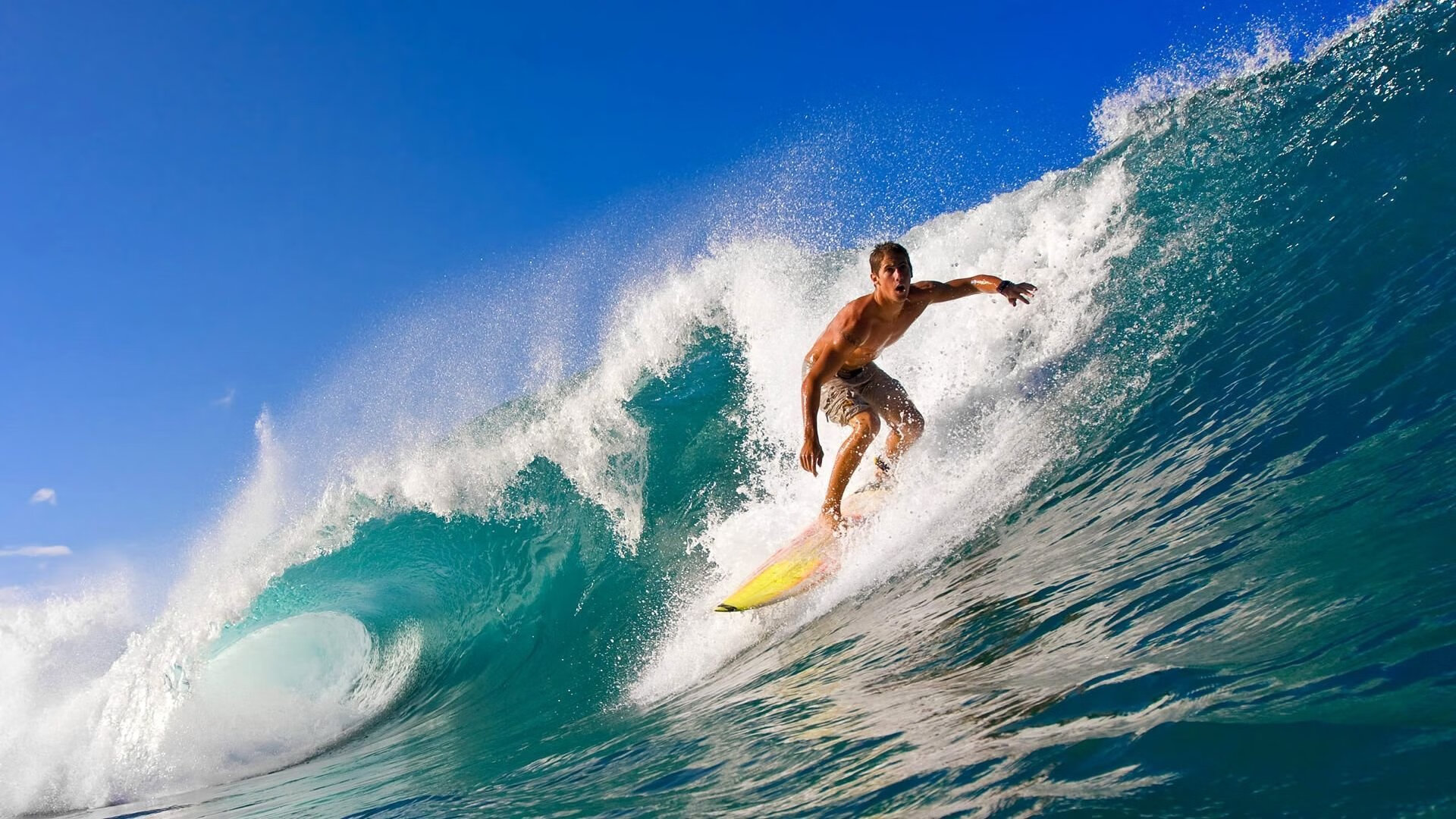 森林狼的坚韧与塔图姆的统治，跨越体育的胜利哲学